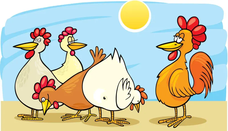 Dessin : un groupe de poules au soleil, chacune avec sa tête